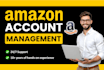 do amazon seller account management