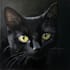 draw charcoal portrait of your pet