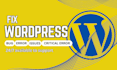 debug, fix wordpress woocommerce bugs, plugin errors critical errors site issues
