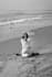 teach 1 on 1 hatha yoga, pranayama and meditation