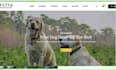 design wix dog walking website cats pet training pet care pet website redesign