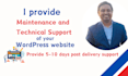 provide wordpress website maintenance and support