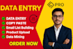 do excel data entry, copy paste, PDF to excel, web research, scraping and typing