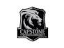 design a professional business and consulting logo