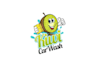 design a professional car wash logo