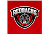 design fantastic red backs basketball logo