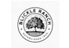 design conservative exceptional ranch logo