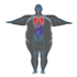 create medical 3d animations
