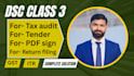 create digital sign for tender filing, tax audit, dgft, PDF