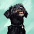 make disney pets portrait illustration in disney style