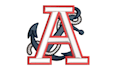 do high quality 3d puff embroidery digitizing asap