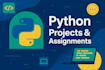develop custom python scripts and automation solutions