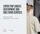 develop, fix bugs, or update any PHP laravel web application