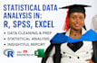 do statistical data analysis in r, spss, excel and a report
