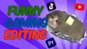 do gaming video editing with memes and animations