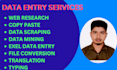 do data entry, web research, copy paste, data scraping, data mining