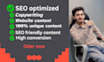 be your SEO website content writer for website copywriting