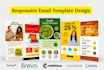 design responsive mailchimp email newsletter template within 6 hours