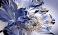 do 3d water simulation flower animation fluid simulation vfx animation