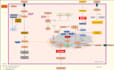 do work on medical illustrations