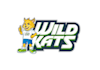 create unique wild cats logo design