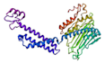 do epitope and protein structure prediction