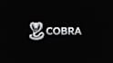 do awesome cobra silver head snake mascot logo design