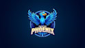 make amazing blue phoenix bird logo design in 12 hours