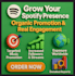 increase followers on spotify promotion and spotify music chart