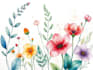 paint watercolour botanical illustrations