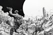 draw black and white illustrations