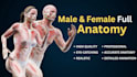 create professional 3d medical, anatomy, surgical and healthcare animatio