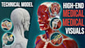 do professional 3d medical animation and human anatomy
