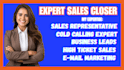 be your sales expert, sales representative, cold calling expert, b2b lead