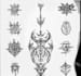 design your polynesian tribal tattoo