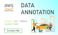 data annotation, sentimental analysis, ground truth
