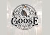 design goose trendy bar logo