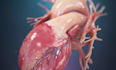 do 3d medical animation, 3d anatomy video, surgery video  and procedure