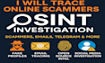 perform advanced osint investigation, footprinting and cyber profiling