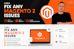 fix any magento 2 issues