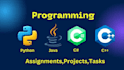 Do programming and coding assignments,projects in c, cpp, python, java ...
