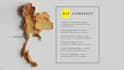 create vox style map animations using geolayers 3 in after effects