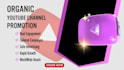 do complete setup and youtube channel monetization