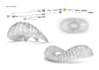 do parametric models and computation design