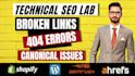 fix 404, 301, broken links, indexing and canonical issues