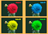 replace any object color in your images professionally