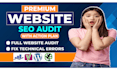 expert technical SEO audit and penalty recovery action plan