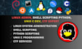 do linux administration, shell scripting, python automation and ctf tasks