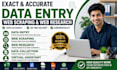 excel data entry, web scraping, data scraping and web research