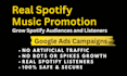 do spotify music promotion and marketing for real audience growth